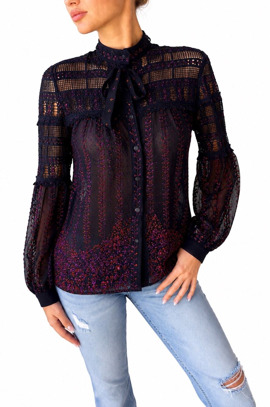 Mynah's Reynu Taandon Embroidered Lace Sheer Tie-Neck Blouse